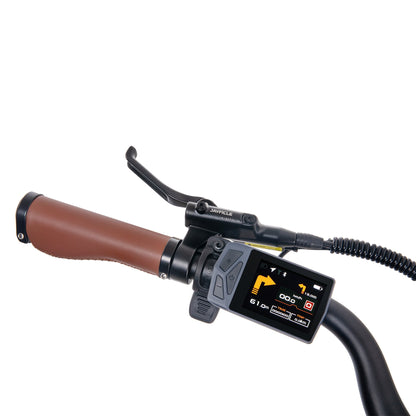 Mihogo Air vélo électrique en carbone